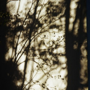 Vol.07 记录两趟一共错过3趟列车的徒步废话集