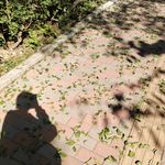 只冒一会儿的烟