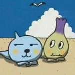 成才逾