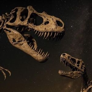 6. 佛教逻辑研究内容：分别心与研究版图