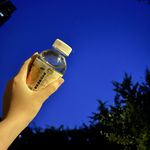 阿桃桃豆