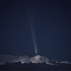 草原张