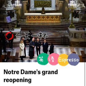 【239】巴黎圣母院重新开放