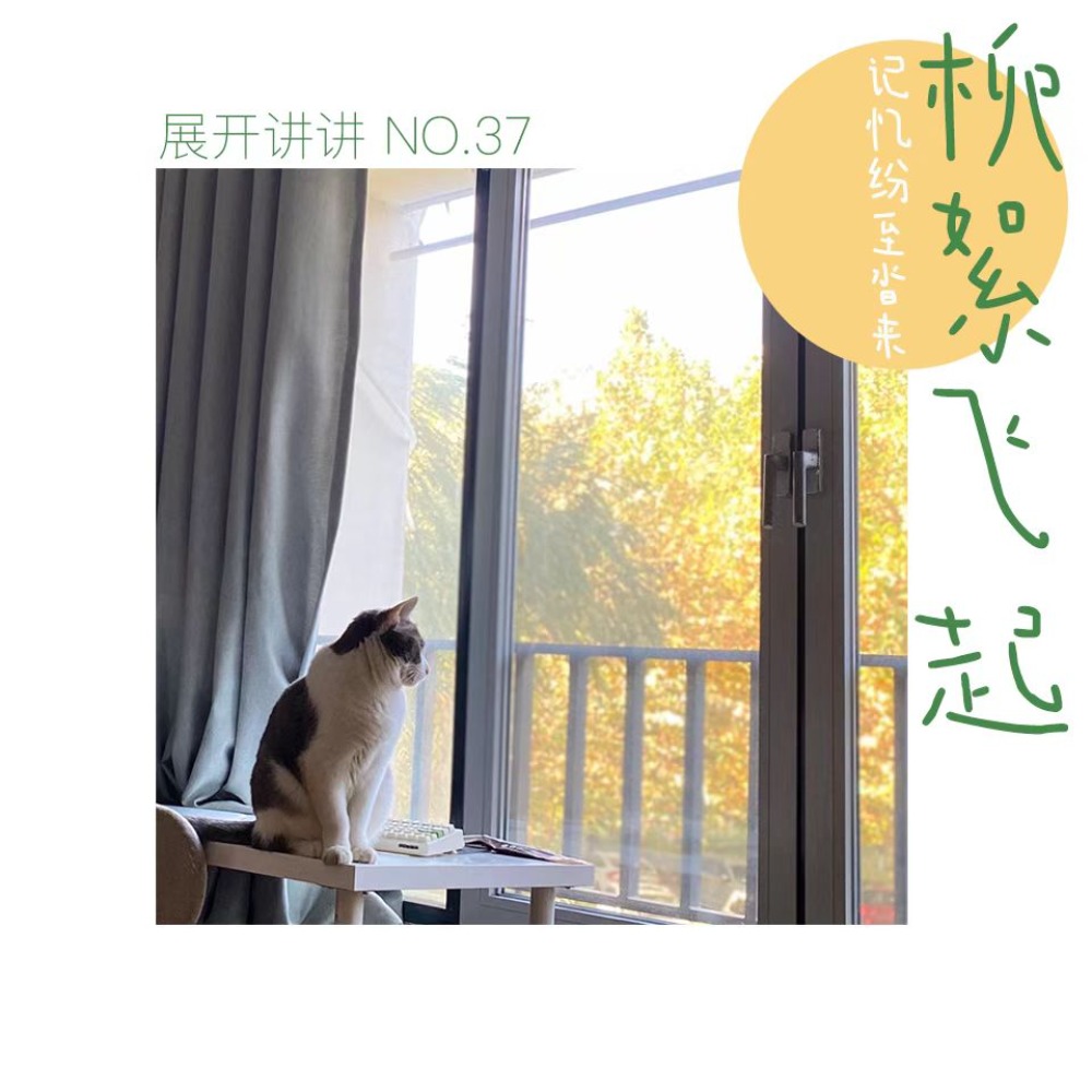 cover of episode 37.柳絮飞起，过去的记忆纷至沓来
