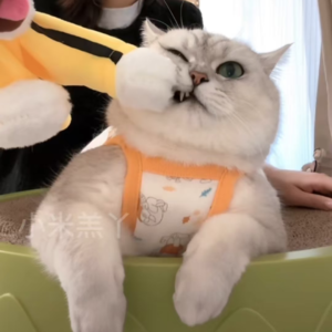 资本市场舆情解读【12月17日】