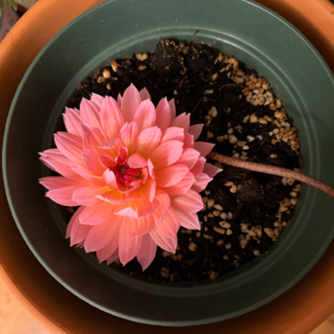 002 AI时代，INFP文科生的春天到了？