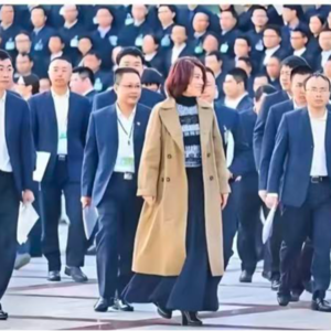 VOL.6 董明珠——制造出"工业皇冠明珠"的她，为何总在舆论的风口浪尖？