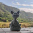 笑三少