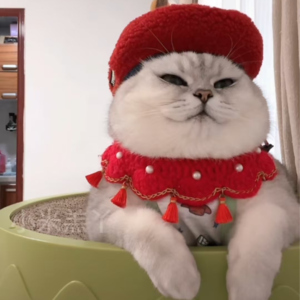 资本市场舆情解读【11月18日】