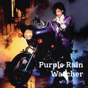 北方偏北番外篇 Vol.4 — Purple Rain Watcher