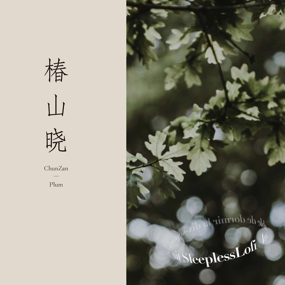 SleeplessLofi