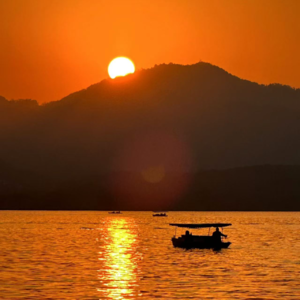 029.用遗憾最小化方法,做人生重大选择!