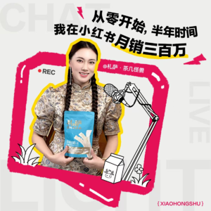 札萨 茶几怪兽——从零开始,半年时间,我在小红书月销三百万