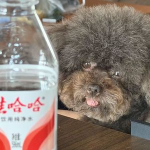 眼哥股市会 6月1日