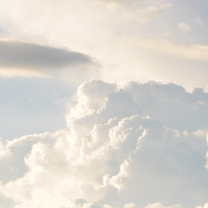 当代粉领的求职历程