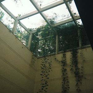 podcaster-avatar