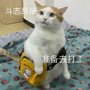 大狸子爱吃鱼