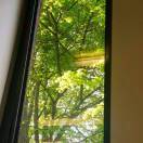 鹅鹅鹅_maPu