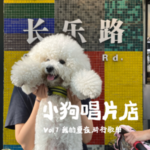 vol.7 我的夏夜骑行歌单