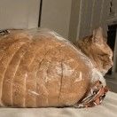 暖烘烘的面包