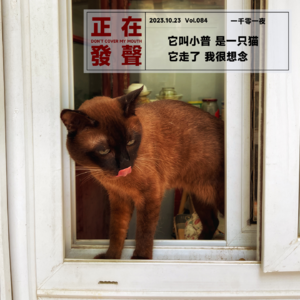 084 它叫小普 是一只猫 它走了 我很想念