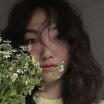 海海遨游