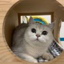 Sunny_h2Nw