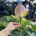 SmallHappine