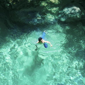 【超长版】小众到刷屏：She Her Her Hers为何能打动中国听众？