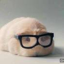 渡过青春号鑫姐