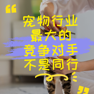 宠物行业最大的竞争对手不是同行