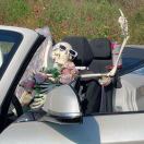 游啊啊啊啊啊啊啊