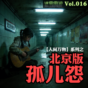 Vol.016 | 人间万物：北京版【孤儿怨】——中年妇女的萝莉诈骗传奇