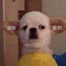 一二三从来没有长大