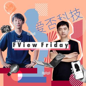 FView Friday 扉页