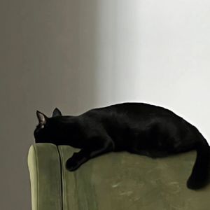 podcaster-avatar