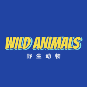 野生动物 Wild Animals