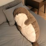 咕咕菌叫我饭包蛋吧
