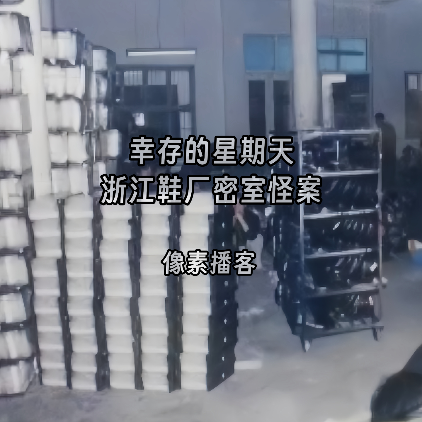 60.幸存的星期天：浙江鞋厂密室怪案