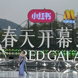 前瞻钱瞻-270. 必听！参加了”春天开幕式“, 更坚定地认为2025年小红书是一把手的重要工程！