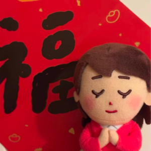 27.2024年总结完了2025年请对我好一点