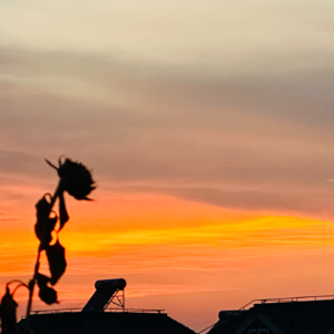 017.唠嗑局：偏要做钟跃民式的人物，人生是场体验！（下）