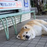 阿康_杯璧下流