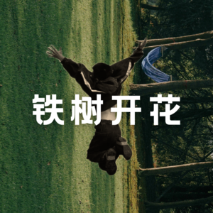 铁树开花