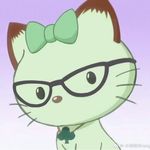 天选猫薄荷