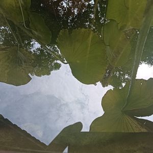 podcaster-avatar
