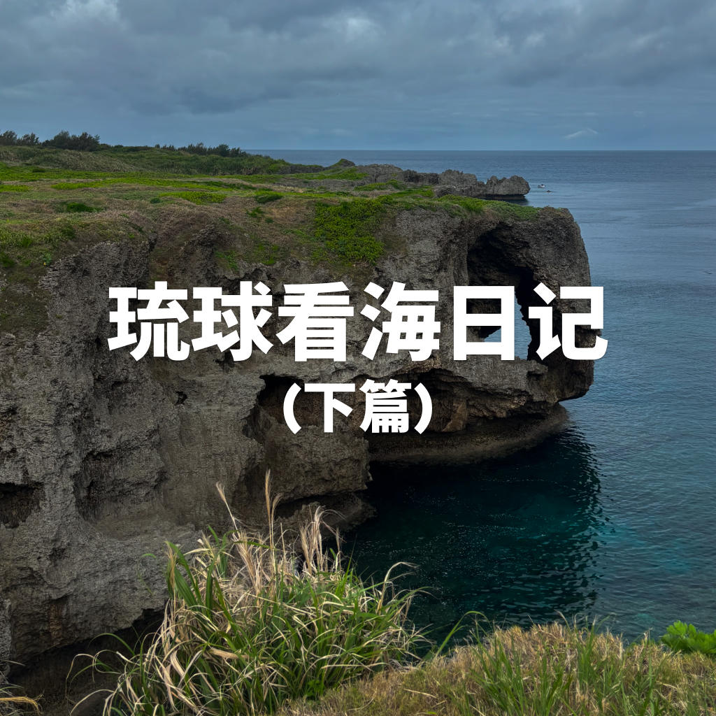 琉球看海日记（下篇） Vol.34【躺平指南】 episode artwork