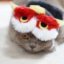 Claire橘猪猪