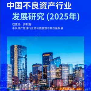 毕马威：中国不良资产行业发展研究（2025年）