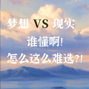 离职后的核心抉择:理想主义 vs 现实主义